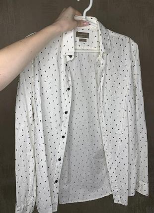 Чоловіча сорочка zara men