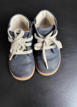 Демисезонні ботинки clark’s шкіряні 23 см зі шнурівкою та застібкою