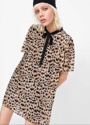 Платье ромпер комбинезон плиссе zara в принт leo