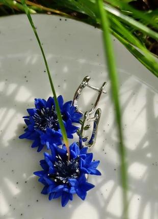 Сережки волошки