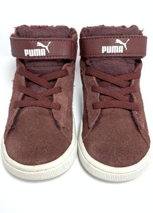 Кросівки шкіряні puma2 фото