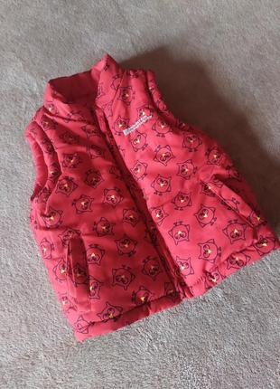 Якісна яскрава двостороння дитяча жилетка на синтепоні