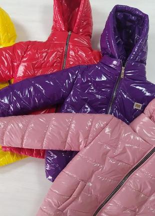 Демісезон курточка. можно и зима