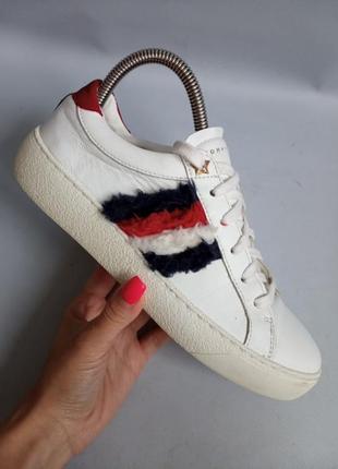 Шкіряні кросівки tommy hilfiger6 фото