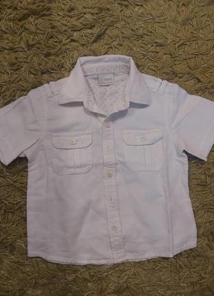 Сорочки рубашки з коротким рукавом, біла сорочка1 фото
