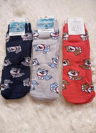 Набір носочків