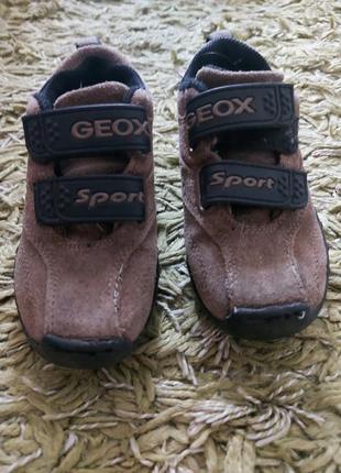 Кросівки осінні замшеві коричневі для хлопчика geox 17 см
