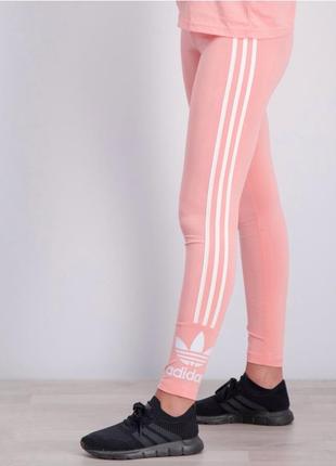 Лосини adidas