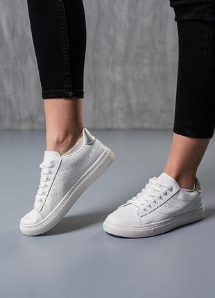 3771🌿кроссовки в искусственной коже👑