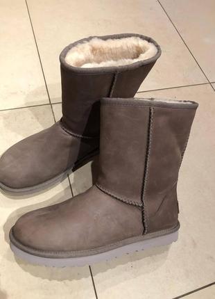 Зимние сапоги ugg оригинал.