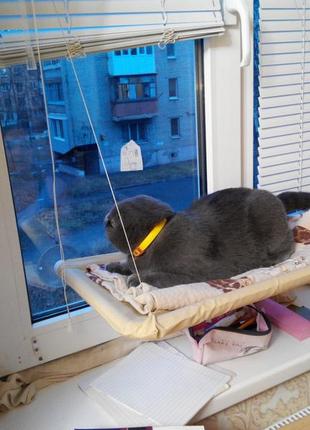 Спальне місце для кота ліжко холостятко віконна sunny seat window3 фото