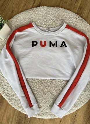 Світшот puma