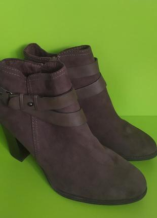 Коричневі ботильйони, 40