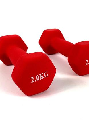 Гантели для фитнеса 2 шт. по 2 кг. , металл с виниловым покрытием (красные)1 фото