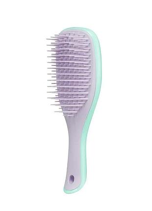 Гребінець tangle teezer the wet detangler mini wisteria leaf