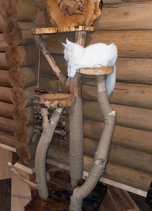 Еко когтеточка. дизайнерська еко когтеточка з натурального дерева для кота та кішки. меблі для котів. дряпка, царапка, когтедралка для кота.