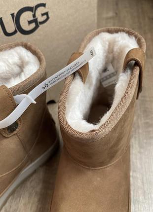 Нові ugg (оригінал сша) зимові черевики овчина чоботи жіночі