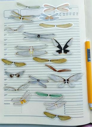 Набір #28 крила бабок для скрапбукінгу наліпки зображення стікер скетч записник