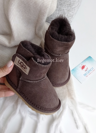 Детские натуральные угги ugg от 21 до 34 кофе2 фото