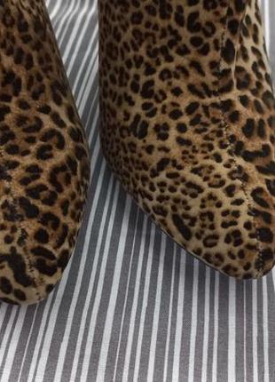 Стильные челси,леопард#405 фото