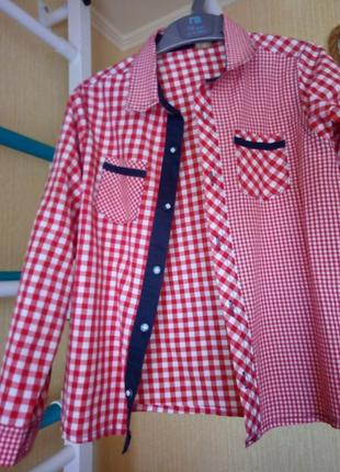 Костюм, комплект, штаны, брюки, бабочка турция