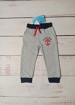 Штани штаны