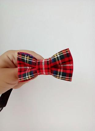 Галстук-бабочка шотландка еа малыша на 1 год, кота или собаку