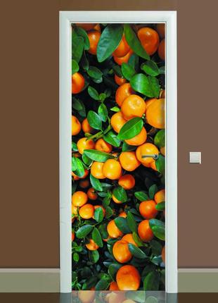Наклейка на дверь zatarga цитрус 01 650х2000 мм оранжевый (z180068 dv)