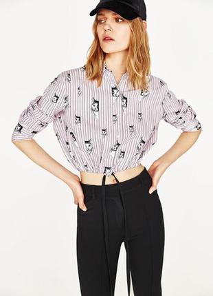 Вкорочена сорочка з котиками zara ,p. l