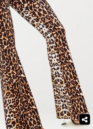 Оксамитові леопардові брюки кльош uk105 фото