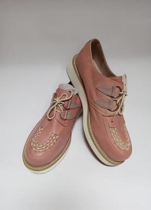 Жіночі шкіряні черевички бренду zign.брендове взуття stock1 фото