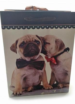 Пакет подарочный картонный "кошки и собаки" (18х23х8 см)1 фото