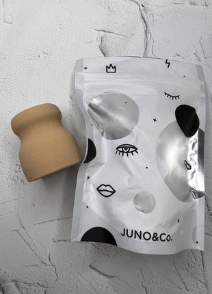 Спонж для нанесення тональної основи juno & co2 фото