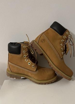 Timberland3 фото