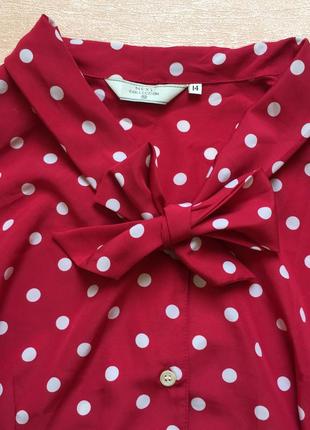 Малиновая блузка в горошек4 фото