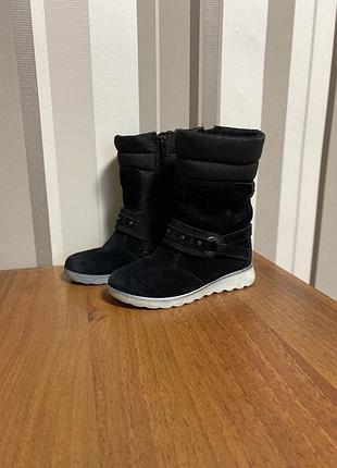 Черевики ecco