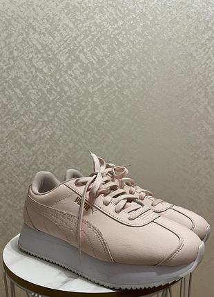 Кросівки, puma