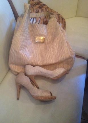 Сумка и туфли dumond одна коллекция