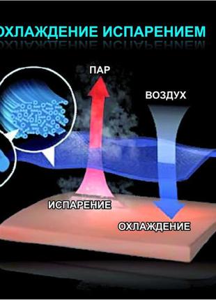 Lans високоякісна жіноча термобілизна thermosoft футболка з довгим рукавом лосини6 фото