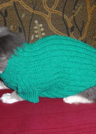 Вязаный свитер для  собачек маленького и среднего размера2 фото
