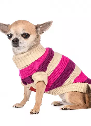 Вязаный свитер для маленьких собачек.