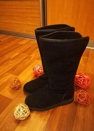 Замшевые сапоги на низком каблуке firetrap.
