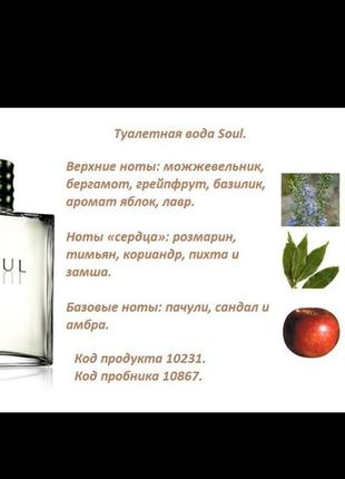 Туалетна вода soul2 фото