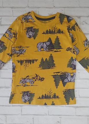 Реглан для хлопчика