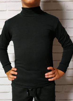 Гольф водолазка тепла.