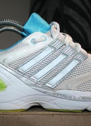 Кросівки атлетичні/бігові adidas supernova sequence 4 w1 фото