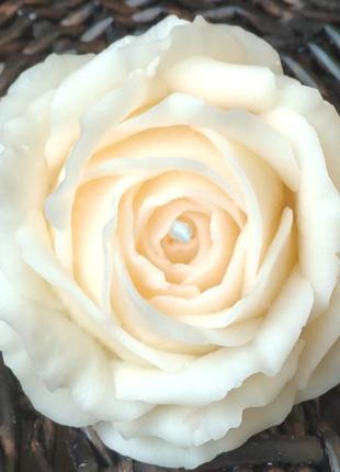 Свічка біла троянда2 фото