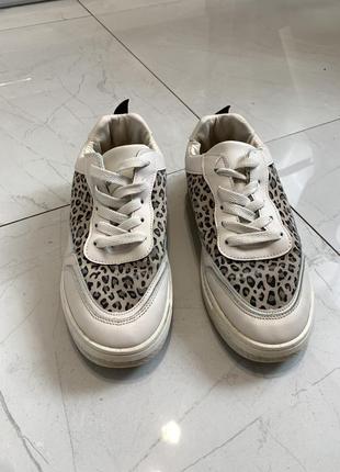 Кросівки з леопардовим принтом белые кеды кроссовки 38 р 24,5 с леопардовым принтом5 фото
