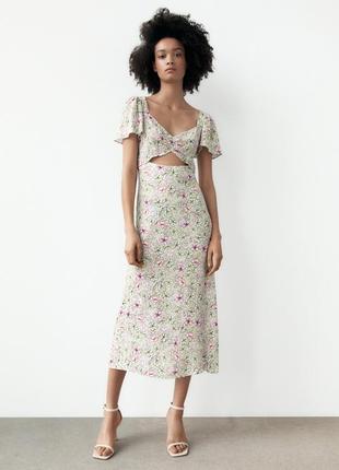 Ніжна сукня, оригінал zara