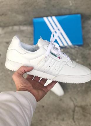 Кроссовки adidas calabasas white3 фото